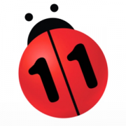 N11 logo
